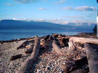 Tower_Beach_Vancouver_cGEliot.jpg